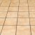 South Gastonia Tile & Grout Cleaning by Quality Swan Cleaning Services